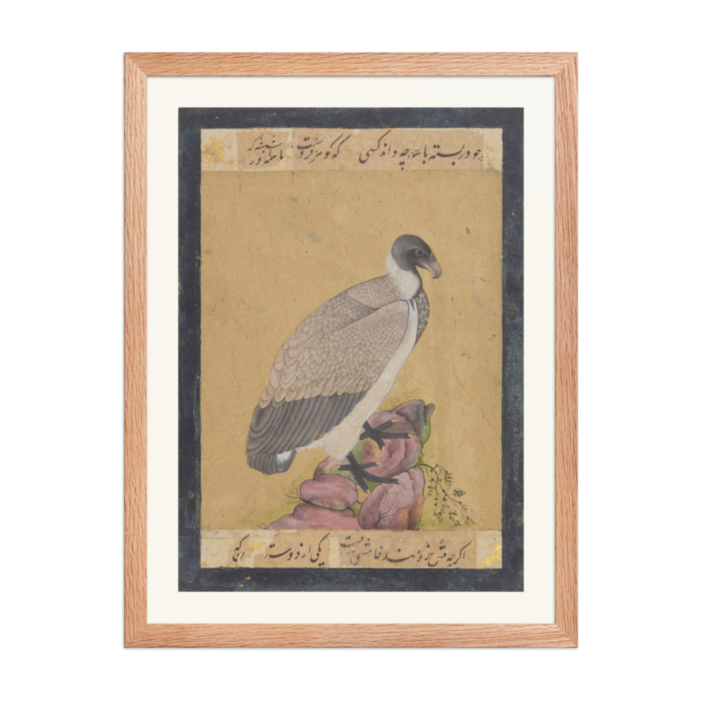 Indian Vulture | Restored Mughal Wall Art — view 3