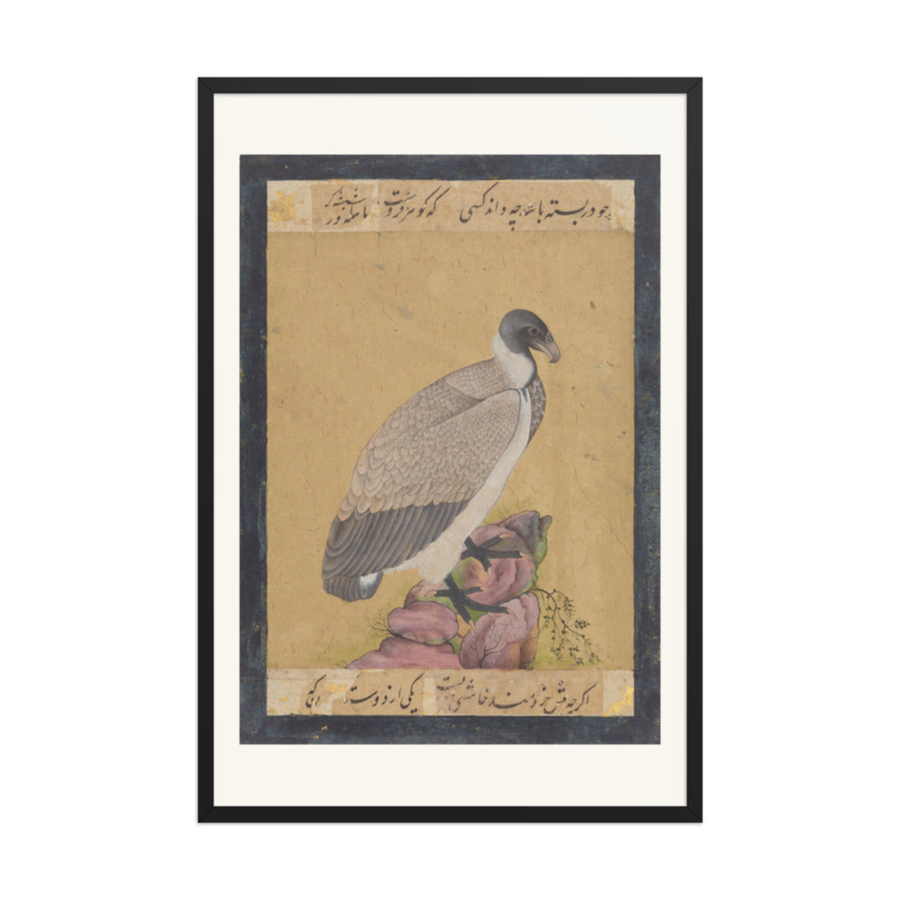 Indian Vulture | Restored Mughal Wall Art — view 8