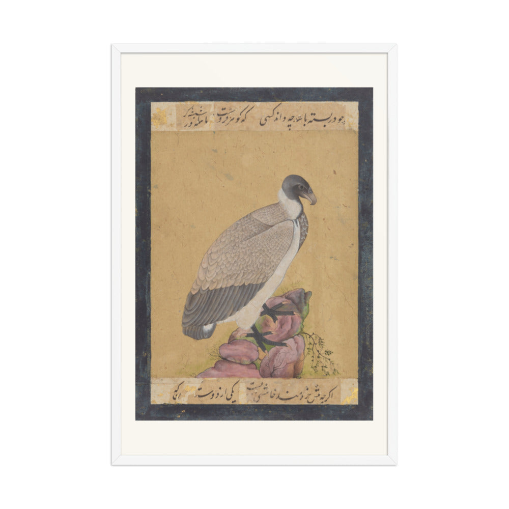 Indian Vulture | Restored Mughal Wall Art — view 10