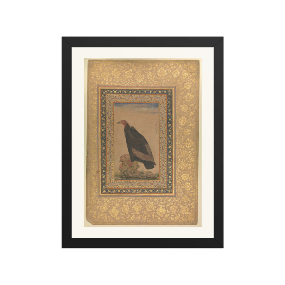 An Eagle by Mansur — Natural History Study | Restored Mughal Wall Art — view 2