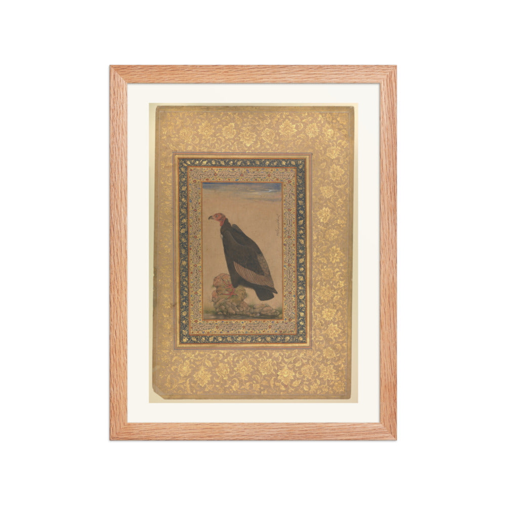 An Eagle by Mansur — Natural History Study | Restored Mughal Wall Art — view 4
