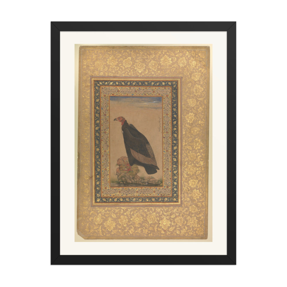 An Eagle by Mansur — Natural History Study | Restored Mughal Wall Art — view 1