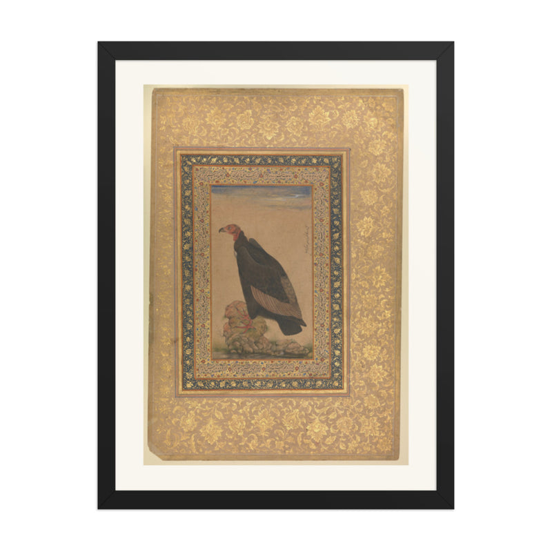 An Eagle by Mansur — Natural History Study | Restored Mughal Wall Art