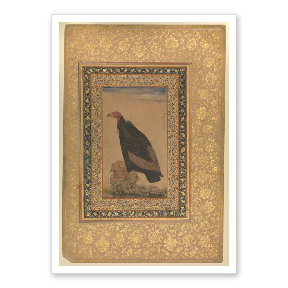 An Eagle by Mansur — Natural History Study | Restored Mughal Wall Art — view 7
