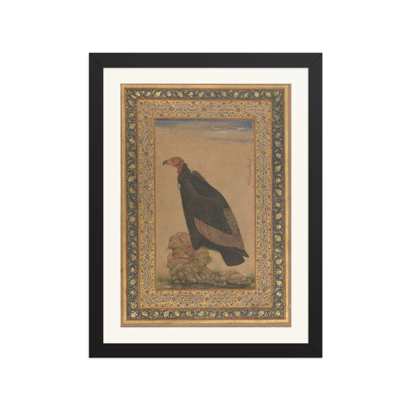 An Eagle by Mansur — Natural History Study | Restored Mughal Wall Art
