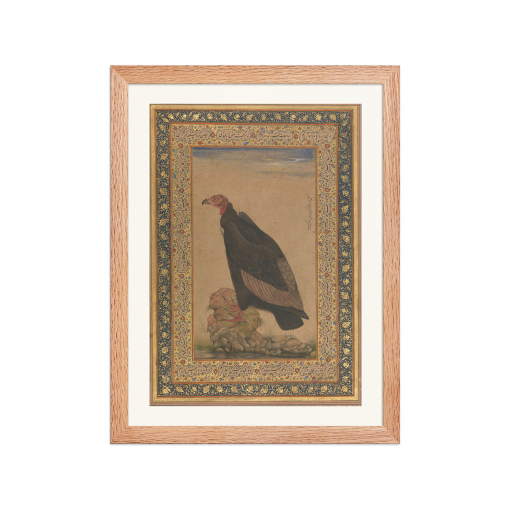 An Eagle by Mansur — Natural History Study | Restored Mughal Wall Art — view 2