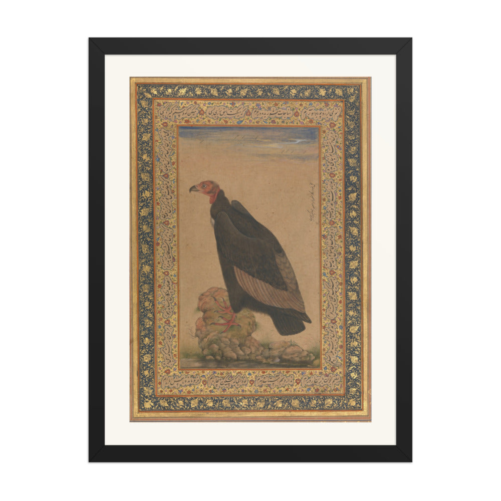 An Eagle by Mansur — Natural History Study | Restored Mughal Wall Art — view 4