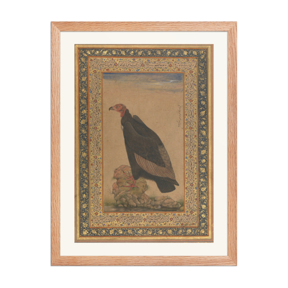 An Eagle by Mansur — Natural History Study | Restored Mughal Wall Art — view 5