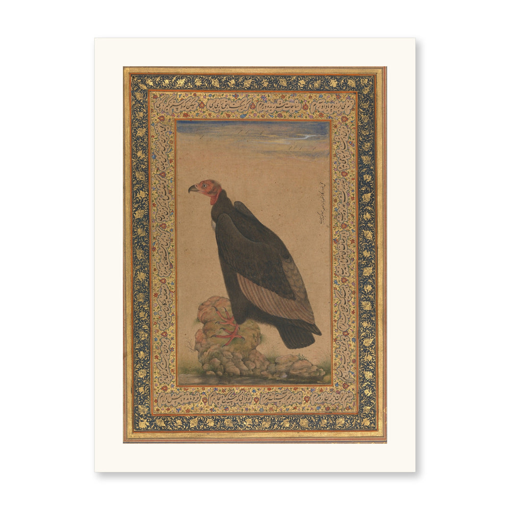 An Eagle by Mansur — Natural History Study | Restored Mughal Wall Art — view 7