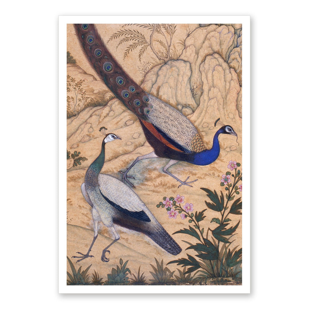 Peacock and Peahen in a Garden by Ustad Mansur | Restored Mughal Wall Art — view 7