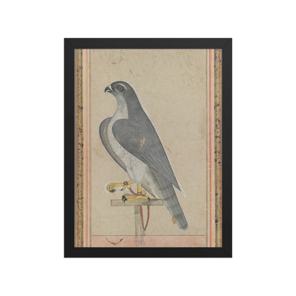Falcon — Restored Pahari Wall Art — view 2