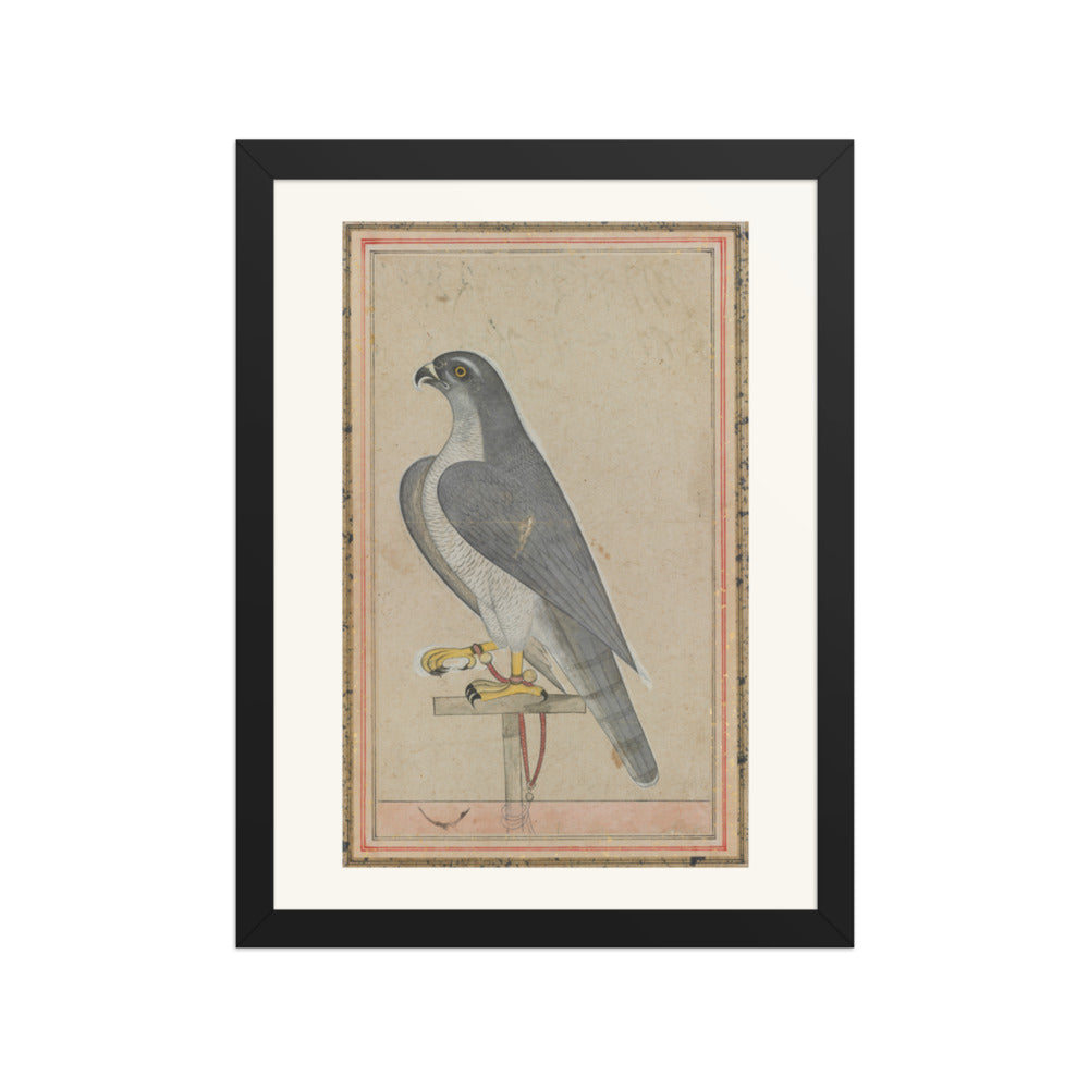 Falcon — Restored Pahari Wall Art — view 2