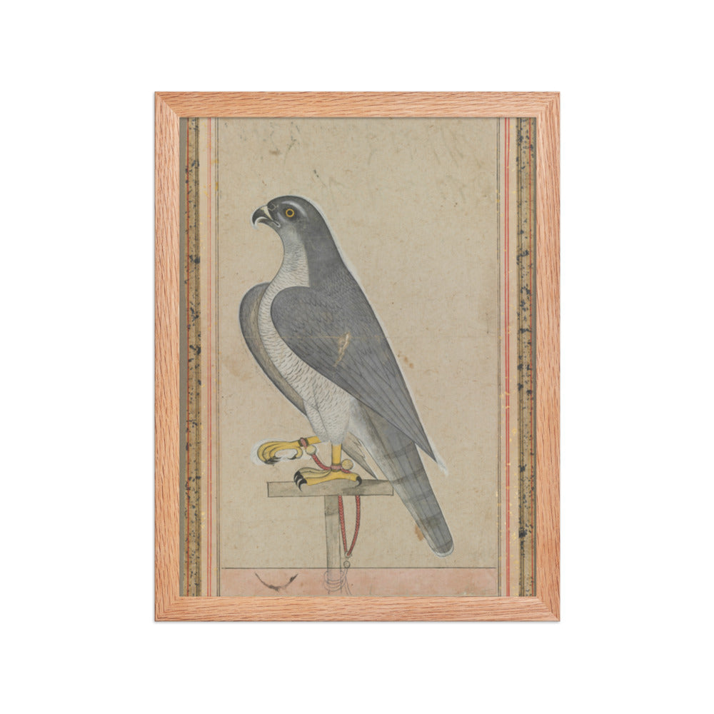 Falcon — Restored Pahari Wall Art — view 4