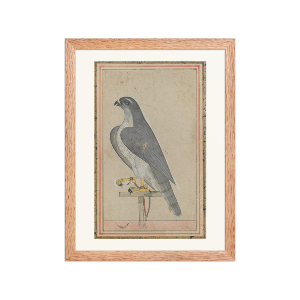 Falcon — Restored Pahari Wall Art — view 4