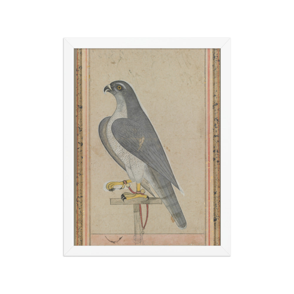 Falcon — Restored Pahari Wall Art — view 6