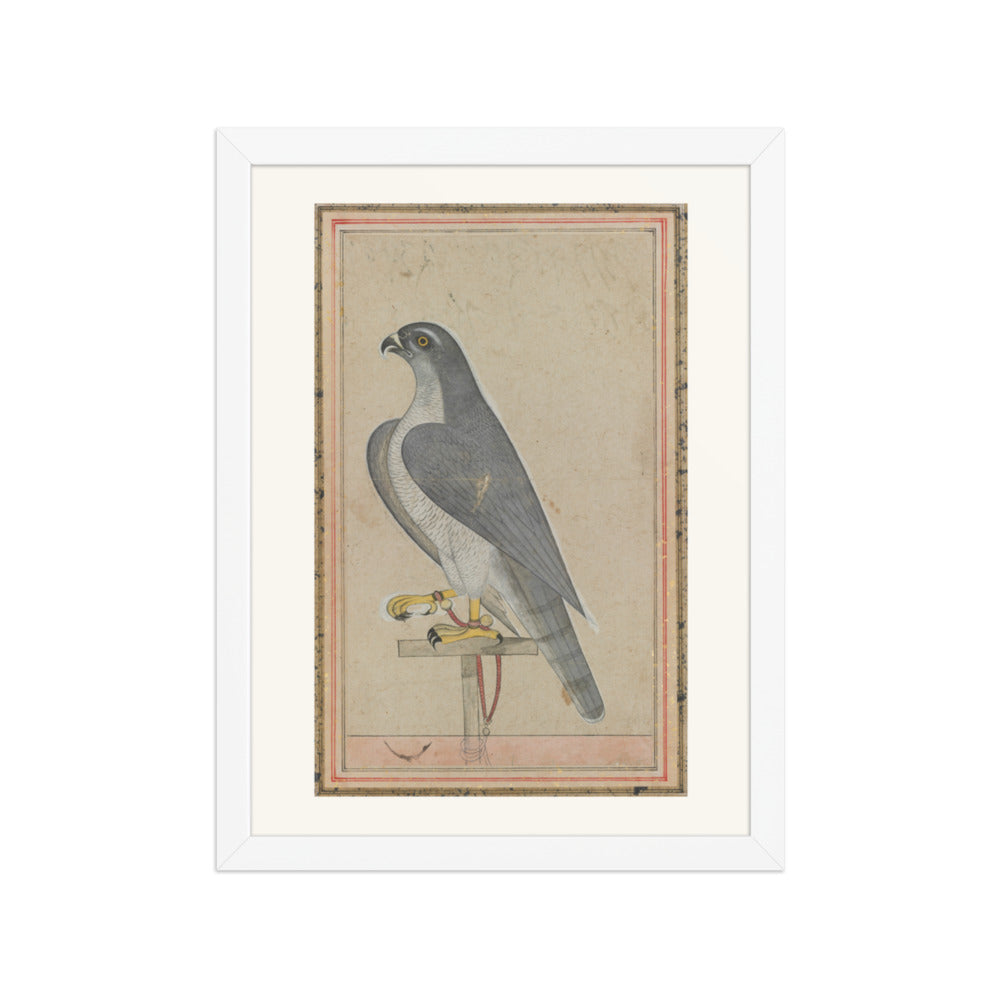 Falcon — Restored Pahari Wall Art — view 6