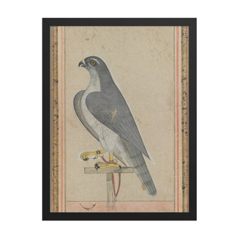 Falcon — Restored Pahari Wall Art
