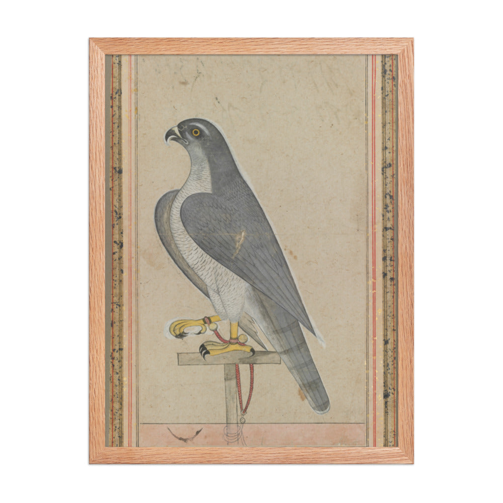 Falcon — Restored Pahari Wall Art — view 3