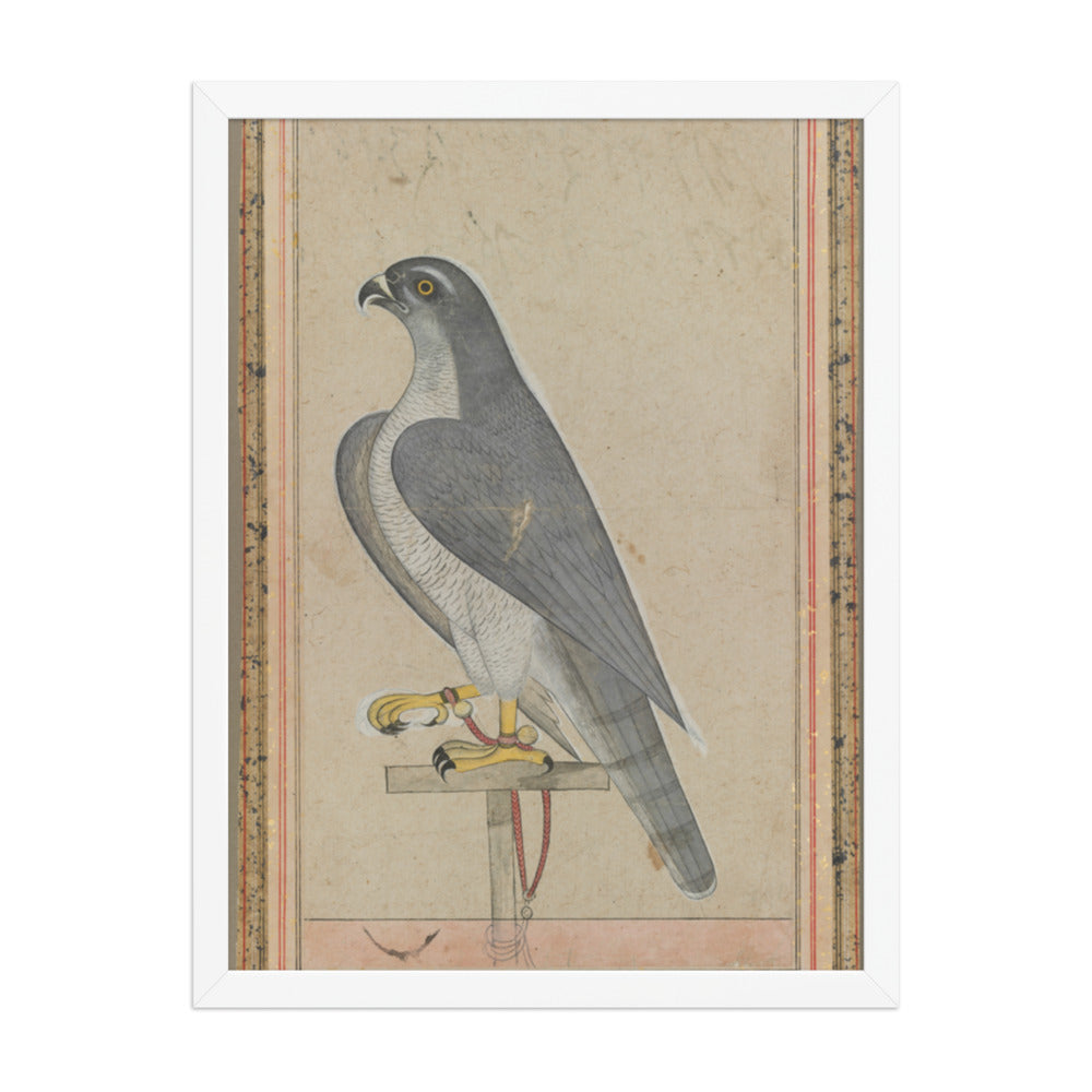 Falcon — Restored Pahari Wall Art — view 5
