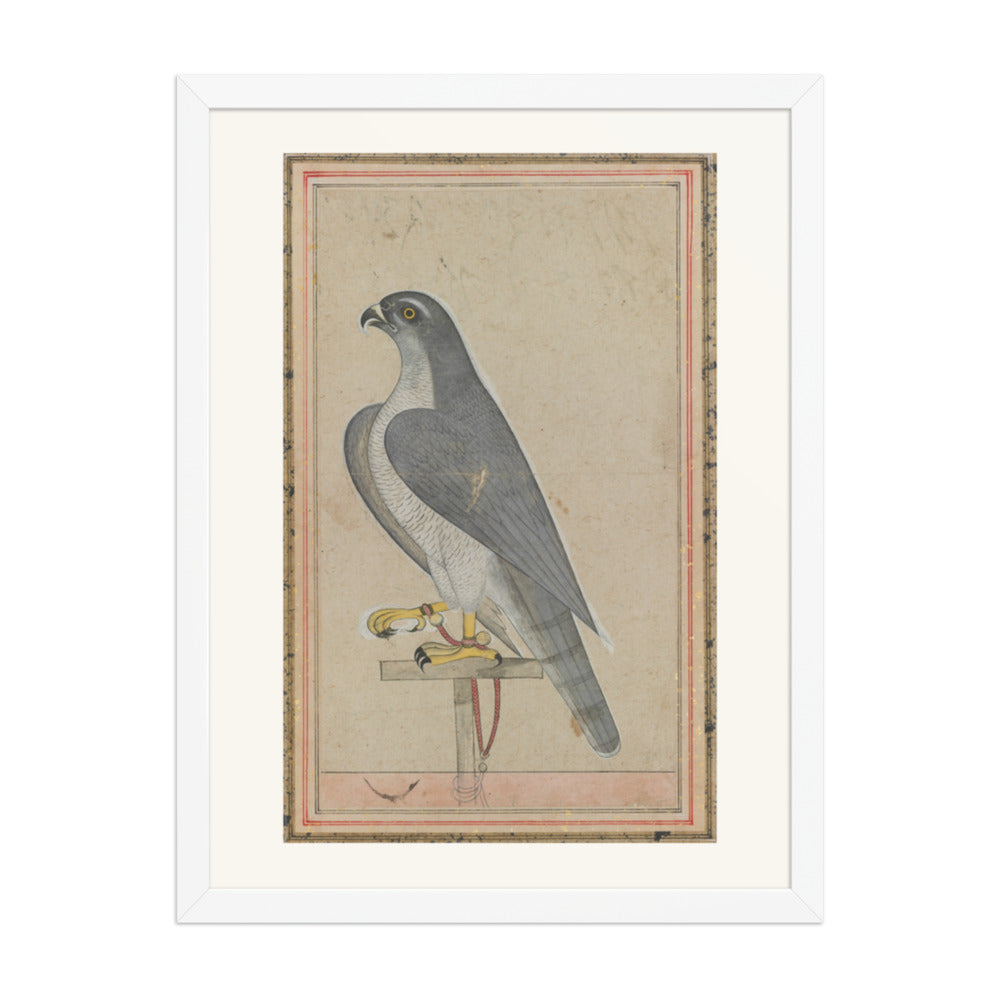 Falcon — Restored Pahari Wall Art — view 5