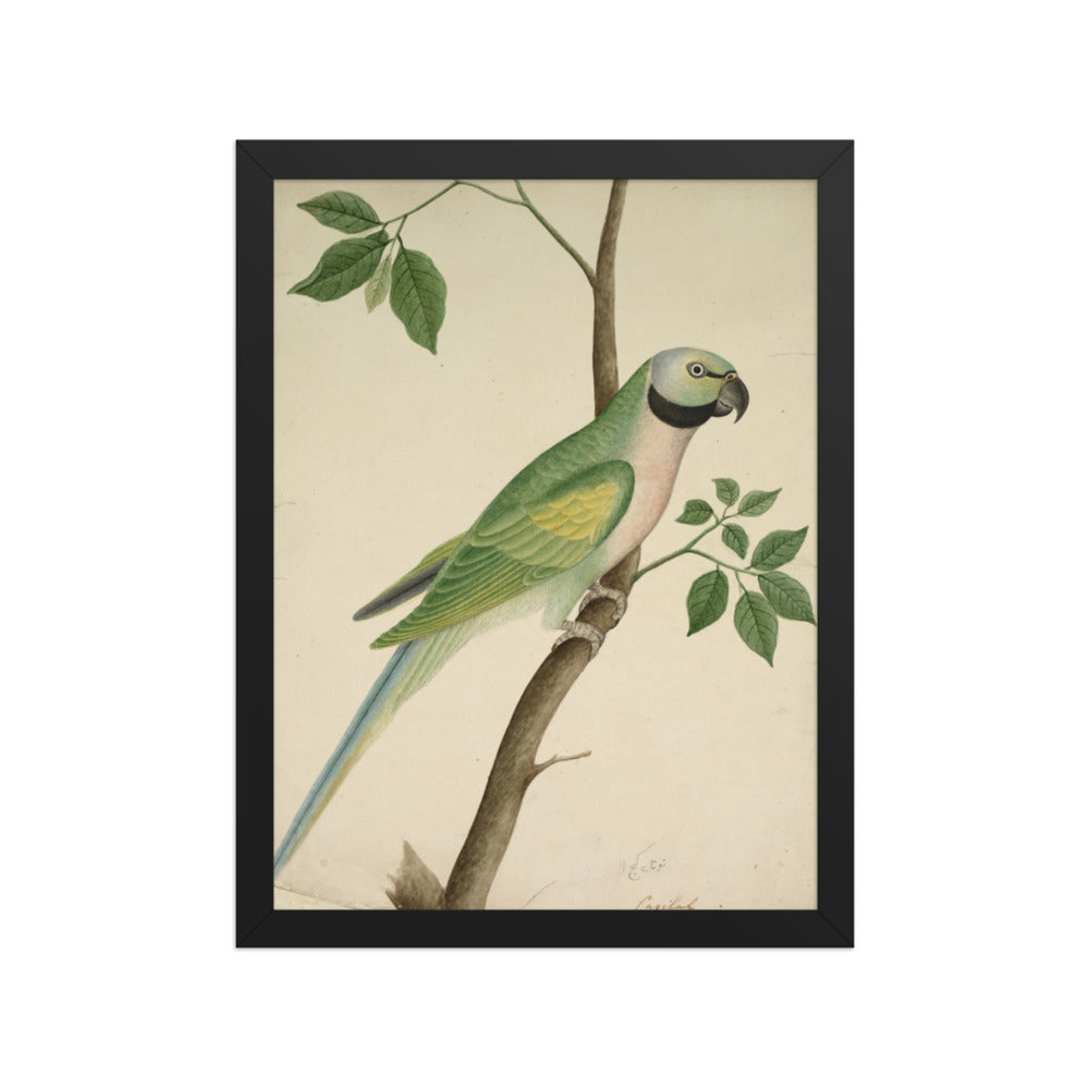 Green Parrot — Restored Indian Court Wall Art — view 2