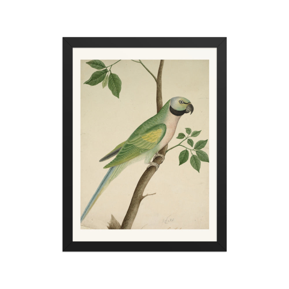 Green Parrot — Restored Indian Court Wall Art — view 2