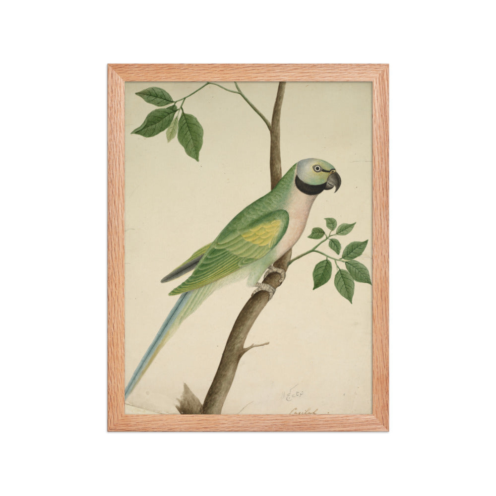 Green Parrot — Restored Indian Court Wall Art — view 4