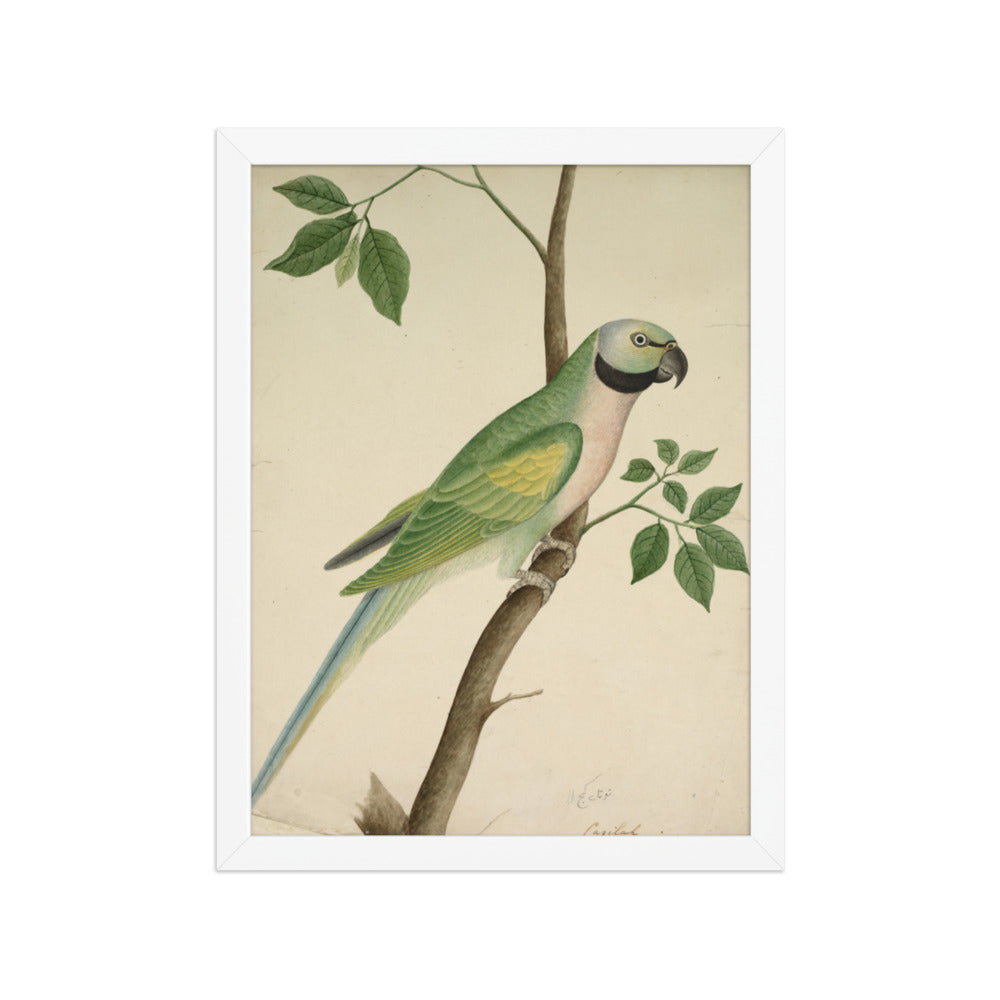 Green Parrot — Restored Indian Court Wall Art — view 6