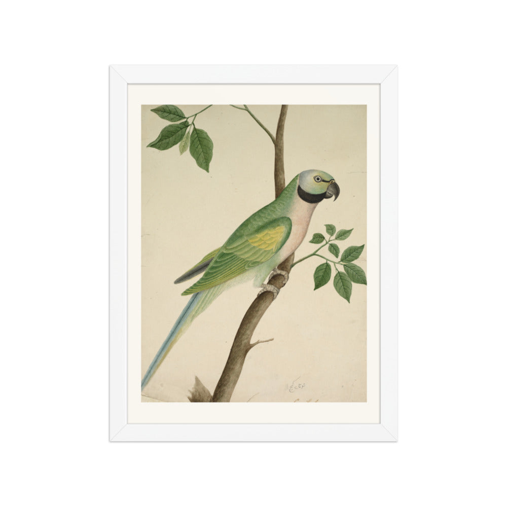 Green Parrot — Restored Indian Court Wall Art — view 6