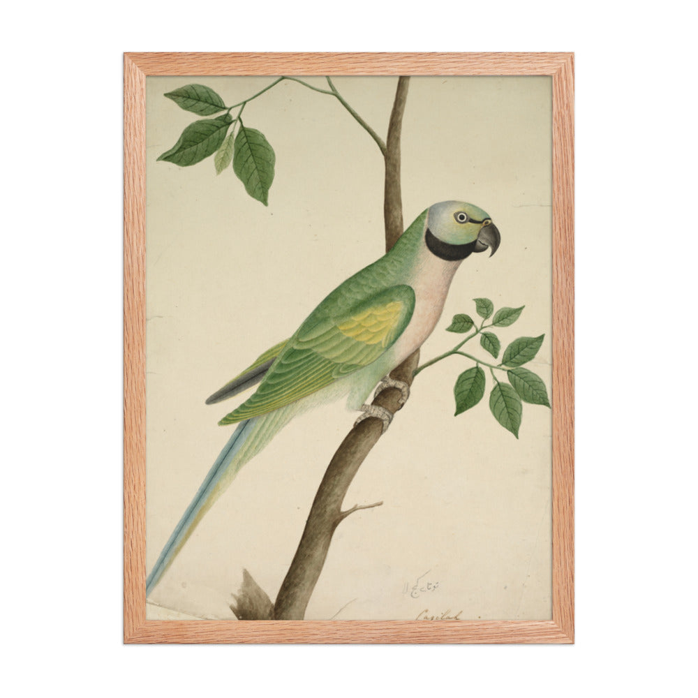 Green Parrot — Restored Indian Court Wall Art — view 3