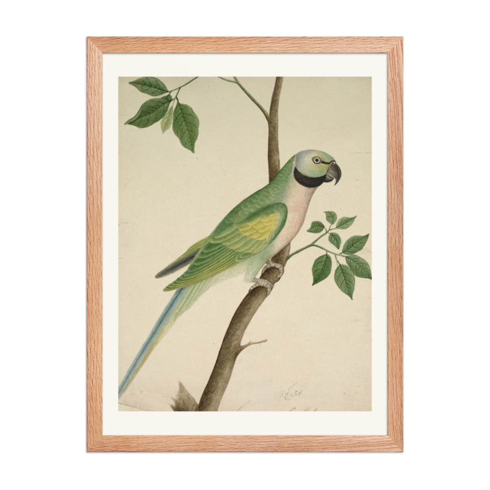 Green Parrot — Restored Indian Court Wall Art — view 3