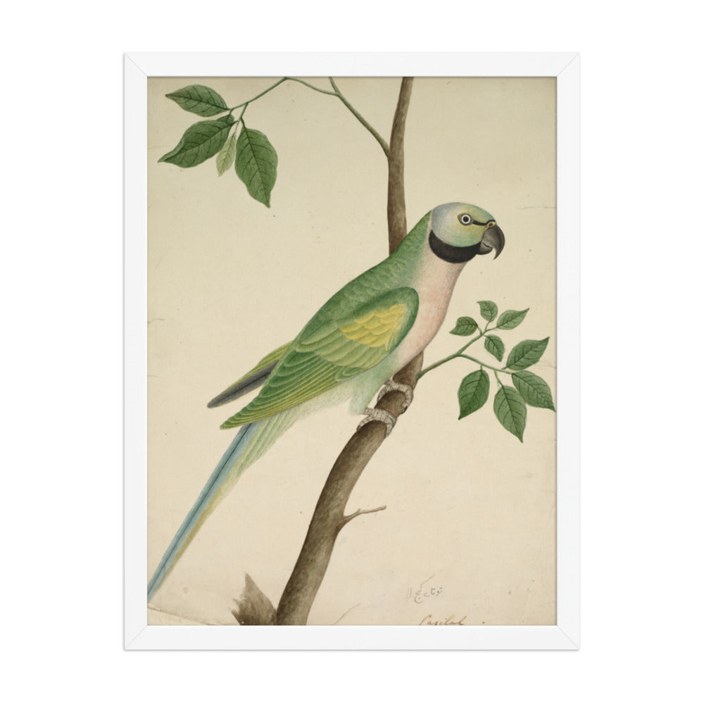 Green Parrot — Restored Indian Court Wall Art — view 5