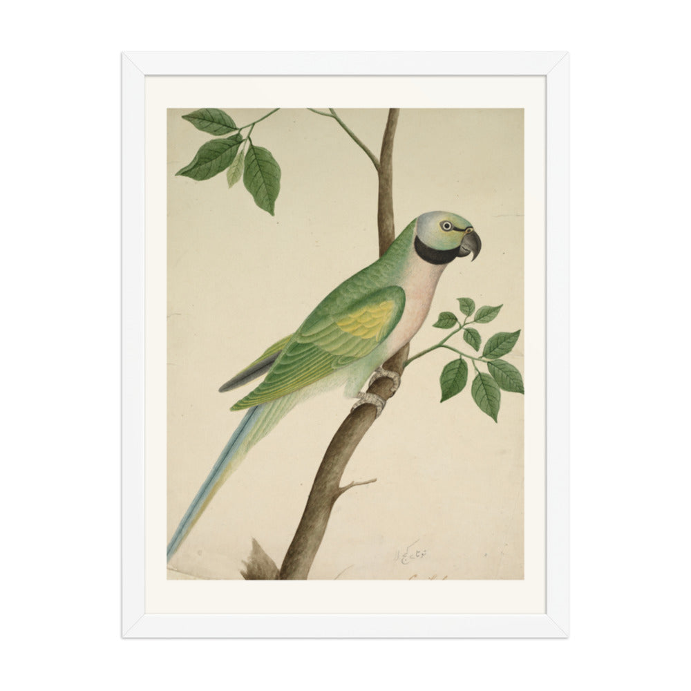 Green Parrot — Restored Indian Court Wall Art — view 5