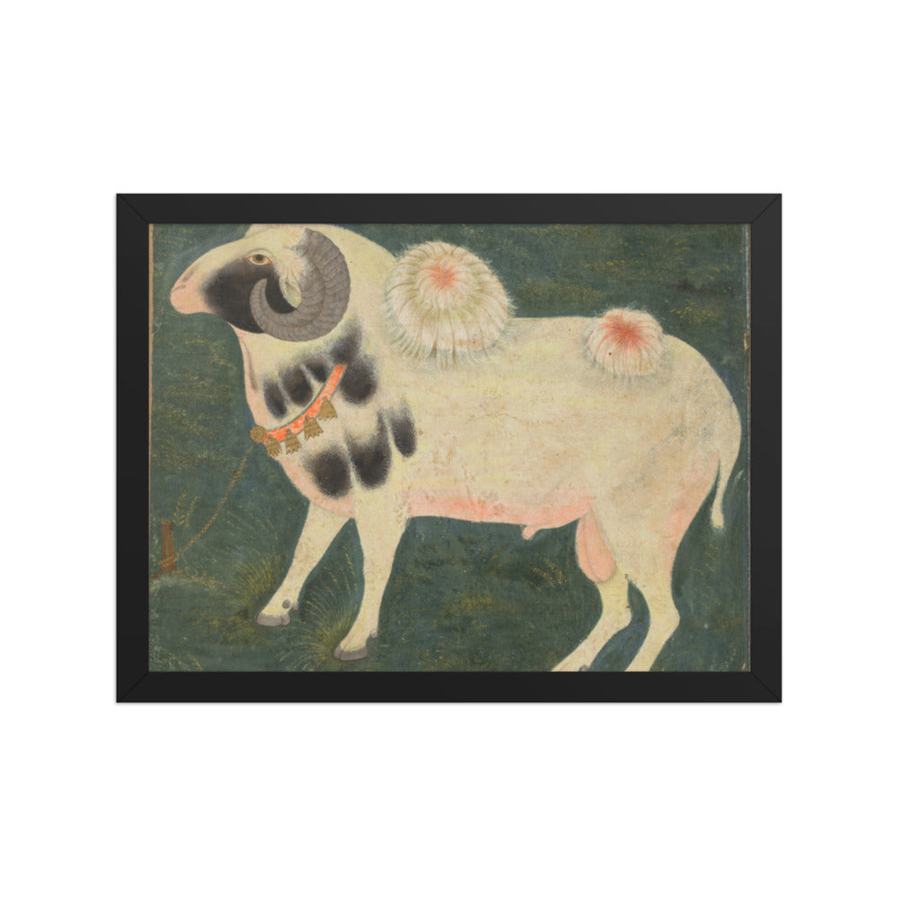 A royal ram with a gold chain — Restored Mughal Wall Art — view 2