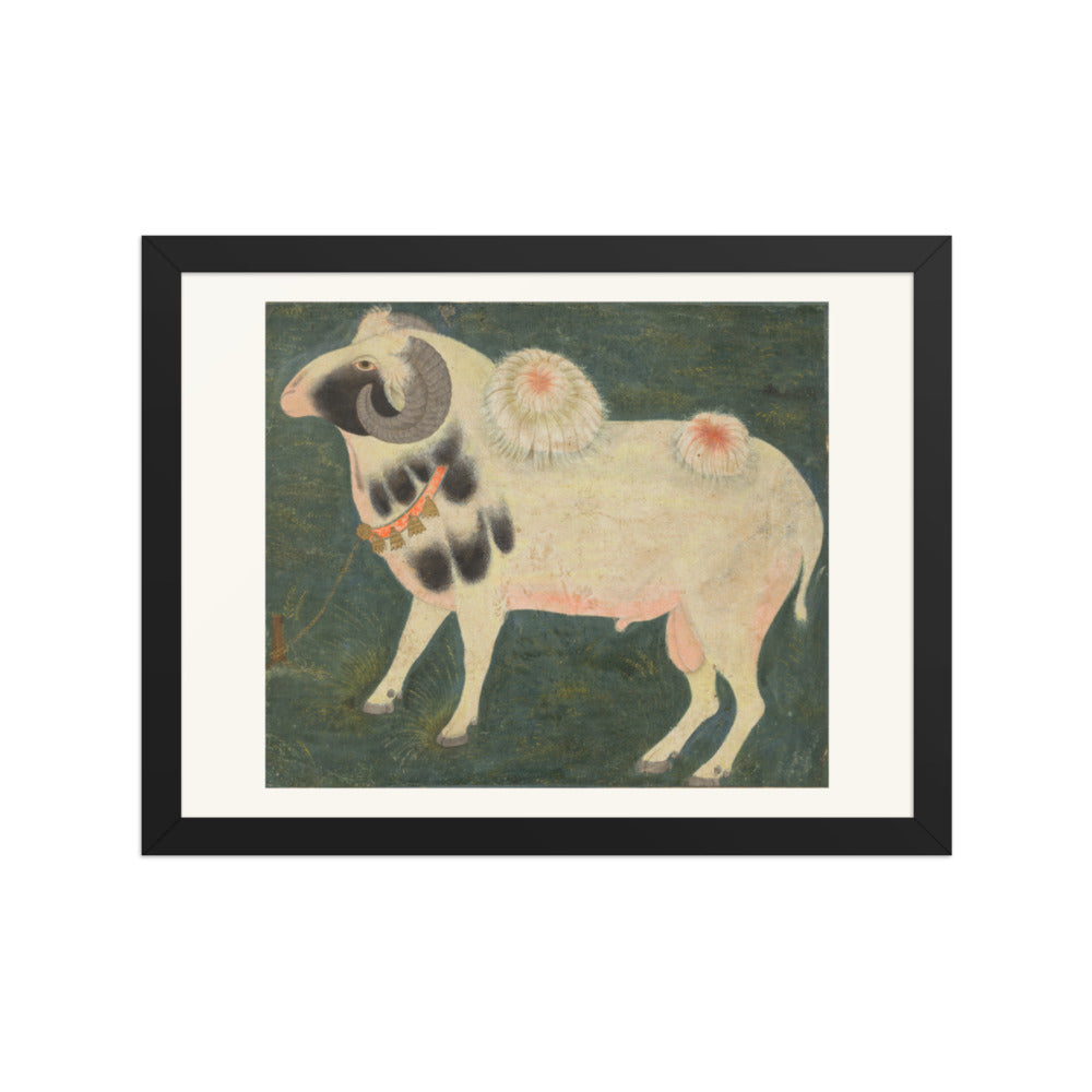 A royal ram with a gold chain — Restored Mughal Wall Art — view 2