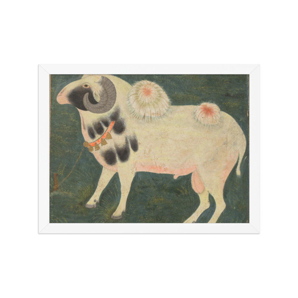 A royal ram with a gold chain — Restored Mughal Wall Art — view 6