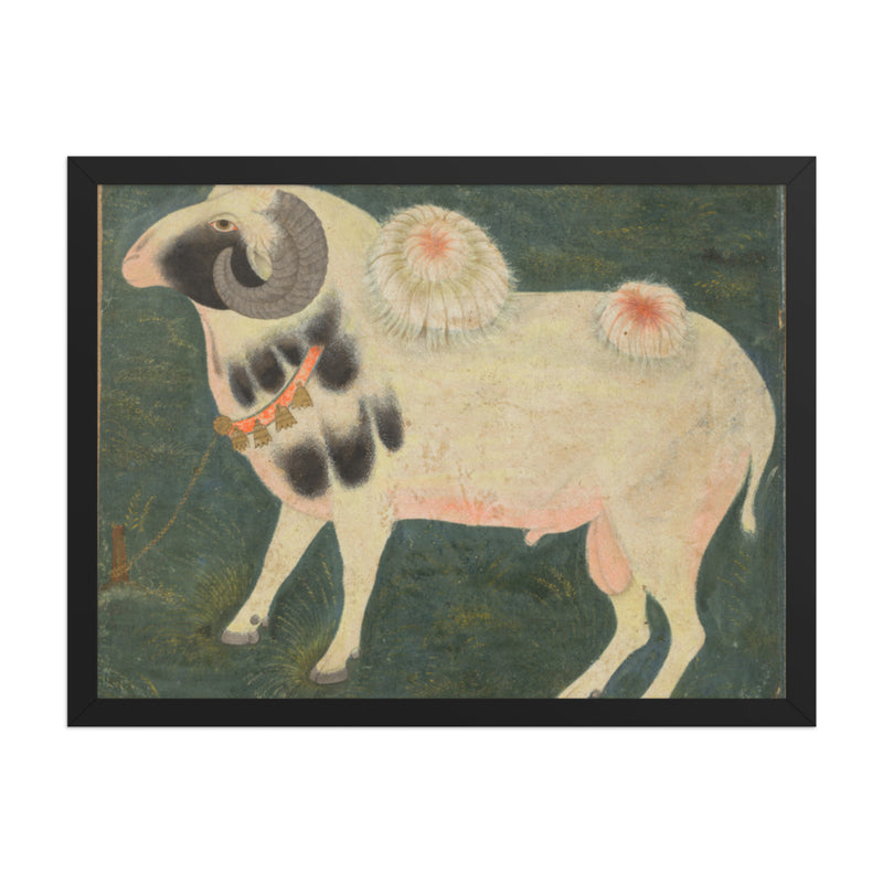 A royal ram with a gold chain — Restored Mughal Wall Art