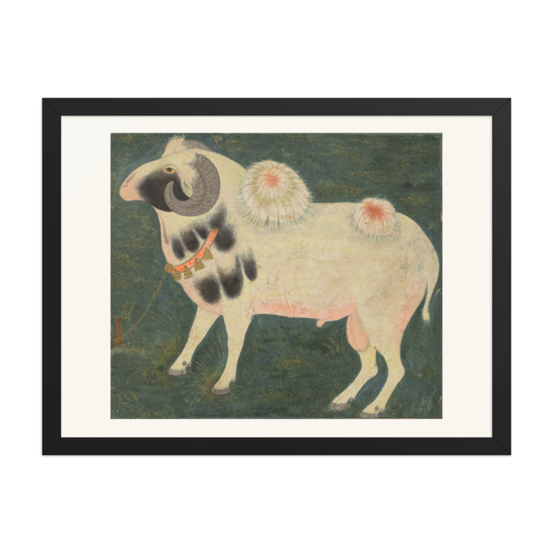 A royal ram with a gold chain — Restored Mughal Wall Art