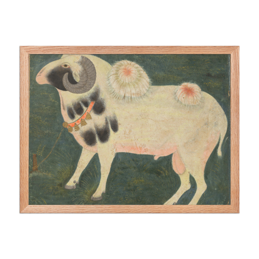 A royal ram with a gold chain — Restored Mughal Wall Art — view 3