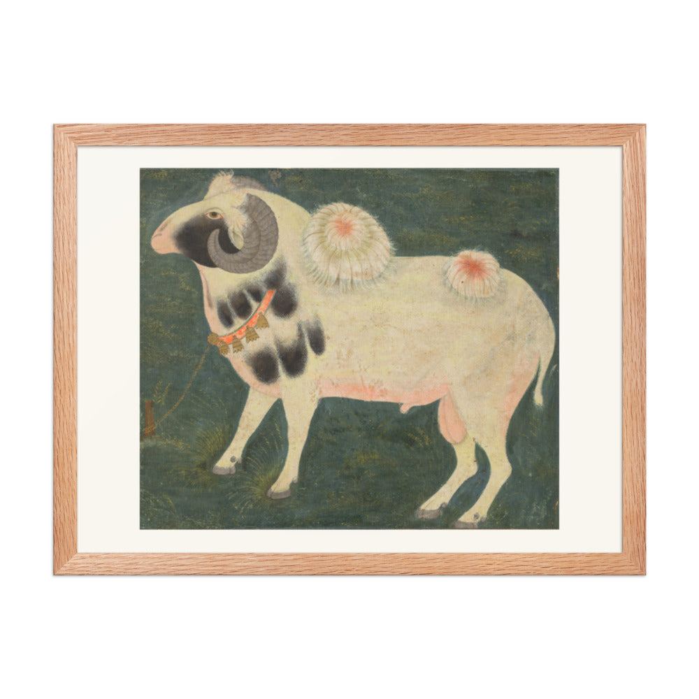 A royal ram with a gold chain — Restored Mughal Wall Art — view 3