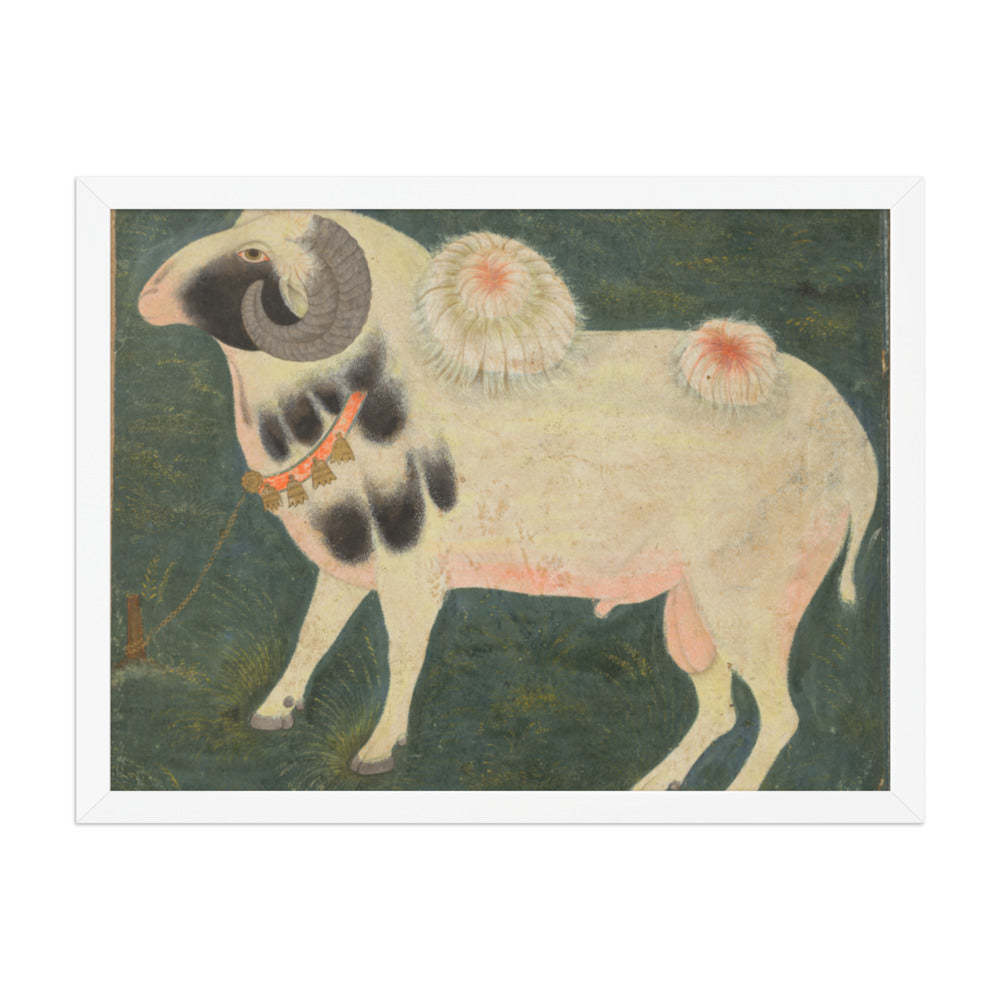 A royal ram with a gold chain — Restored Mughal Wall Art — view 5