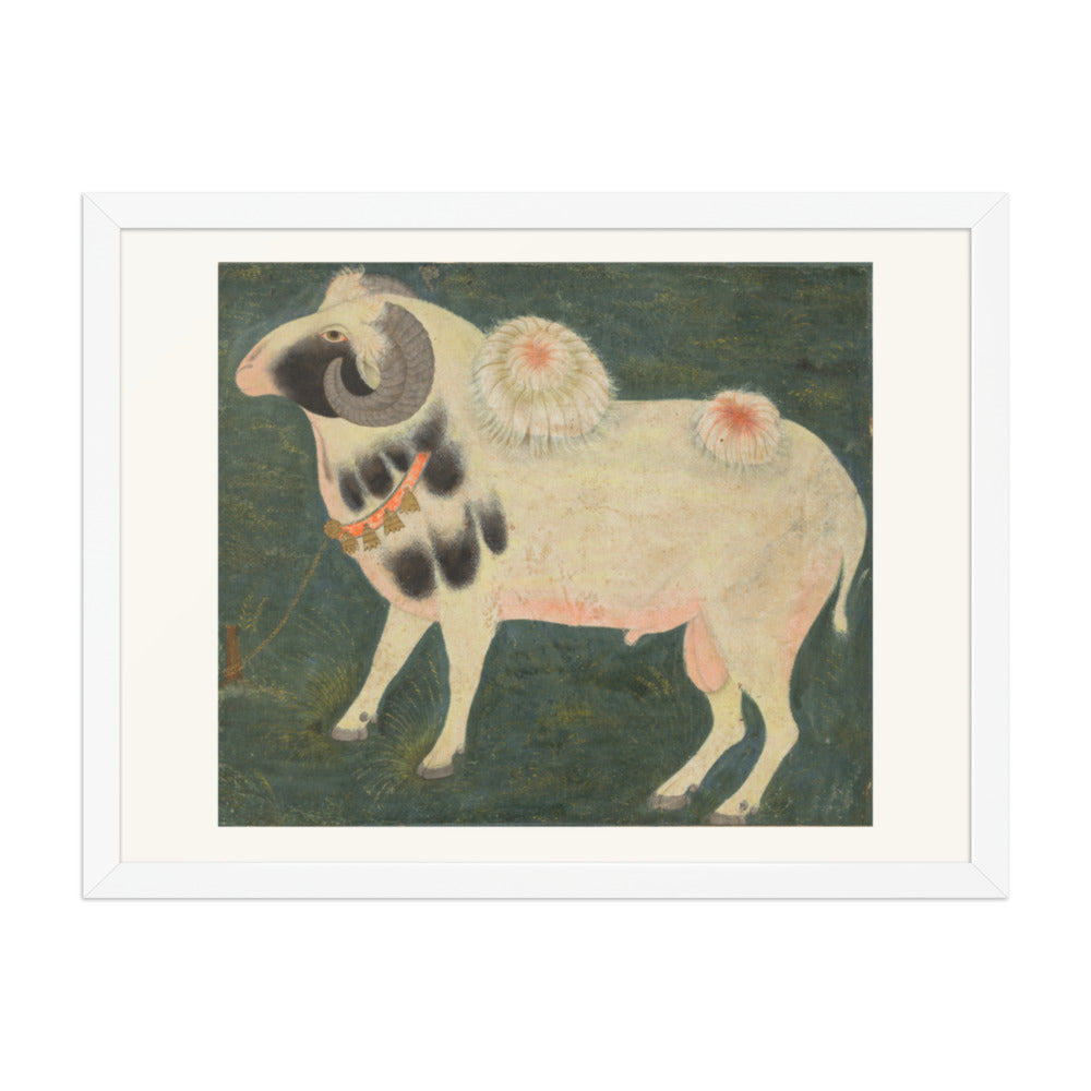 A royal ram with a gold chain — Restored Mughal Wall Art — view 5