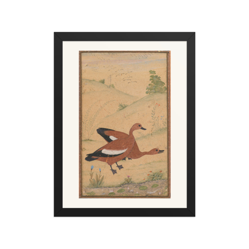 A pair of Brahminy ducks — Restored Mughal Wall Art — view 2