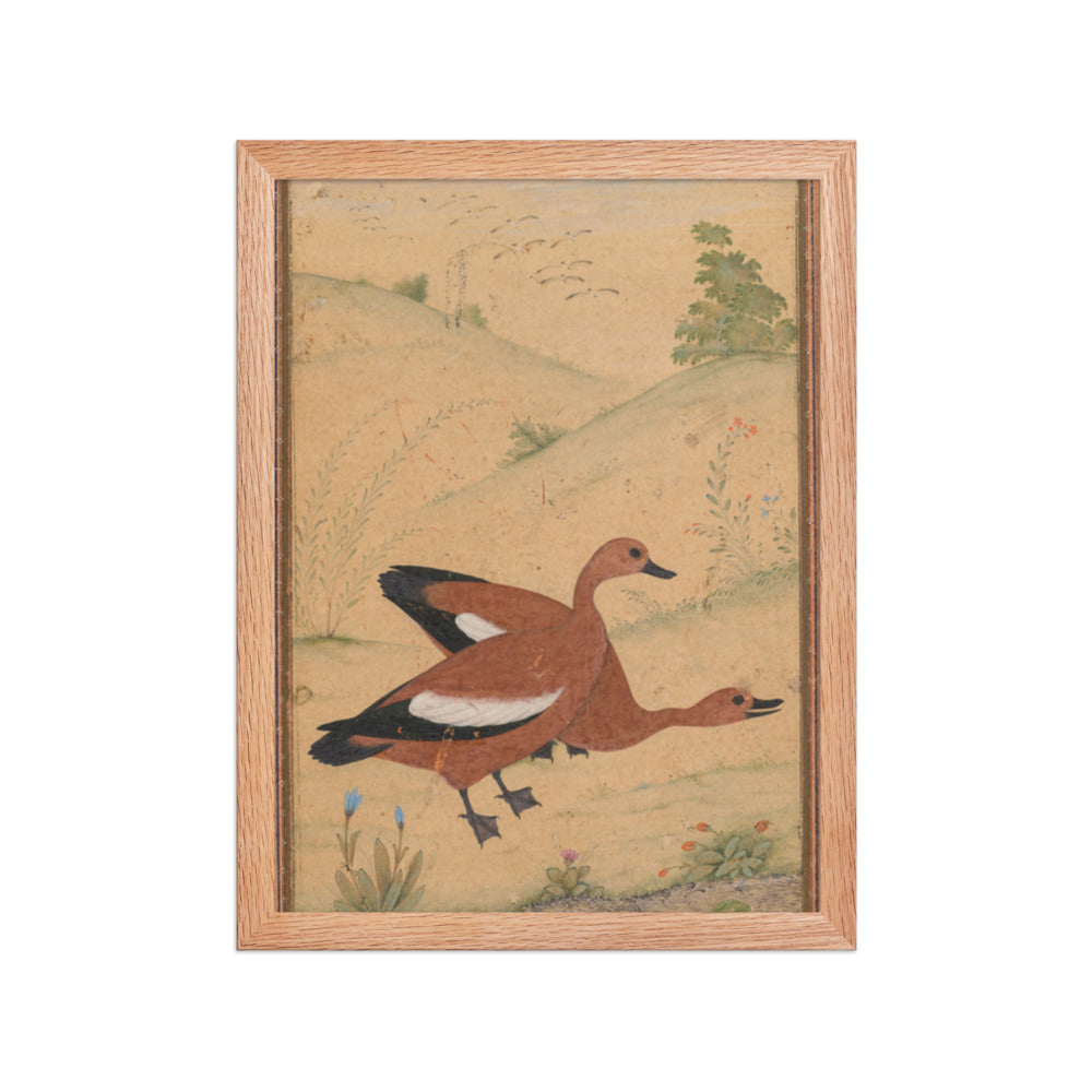 A pair of Brahminy ducks — Restored Mughal Wall Art — view 4