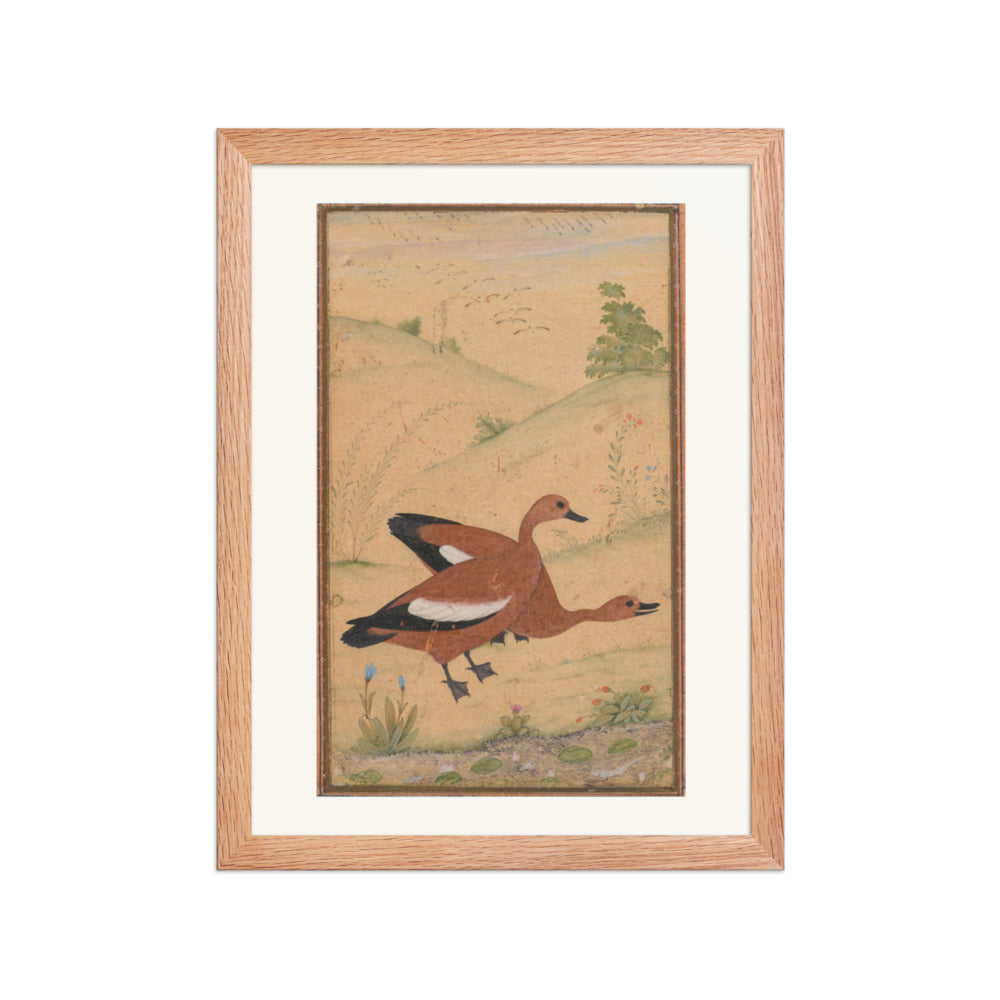 A pair of Brahminy ducks — Restored Mughal Wall Art — view 4