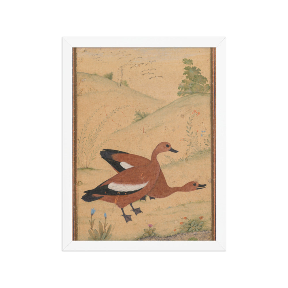 A pair of Brahminy ducks — Restored Mughal Wall Art — view 6
