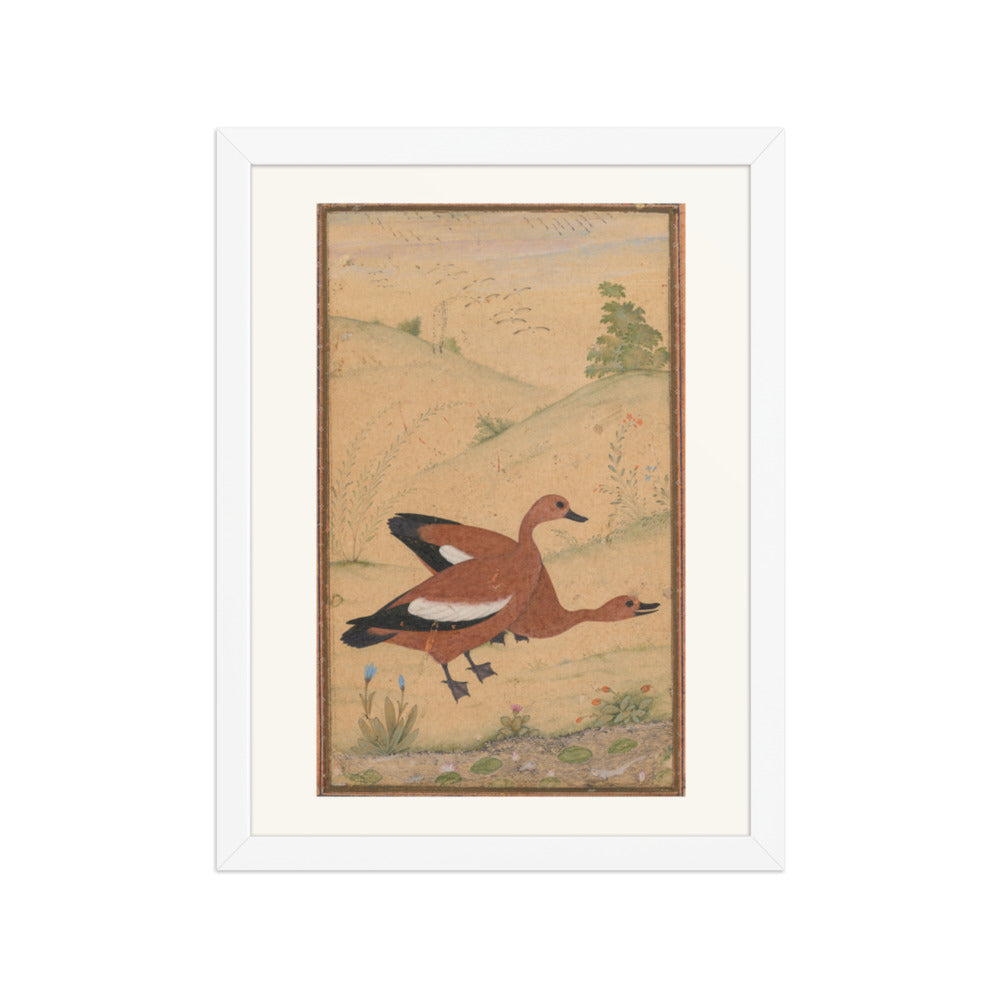 A pair of Brahminy ducks — Restored Mughal Wall Art — view 6