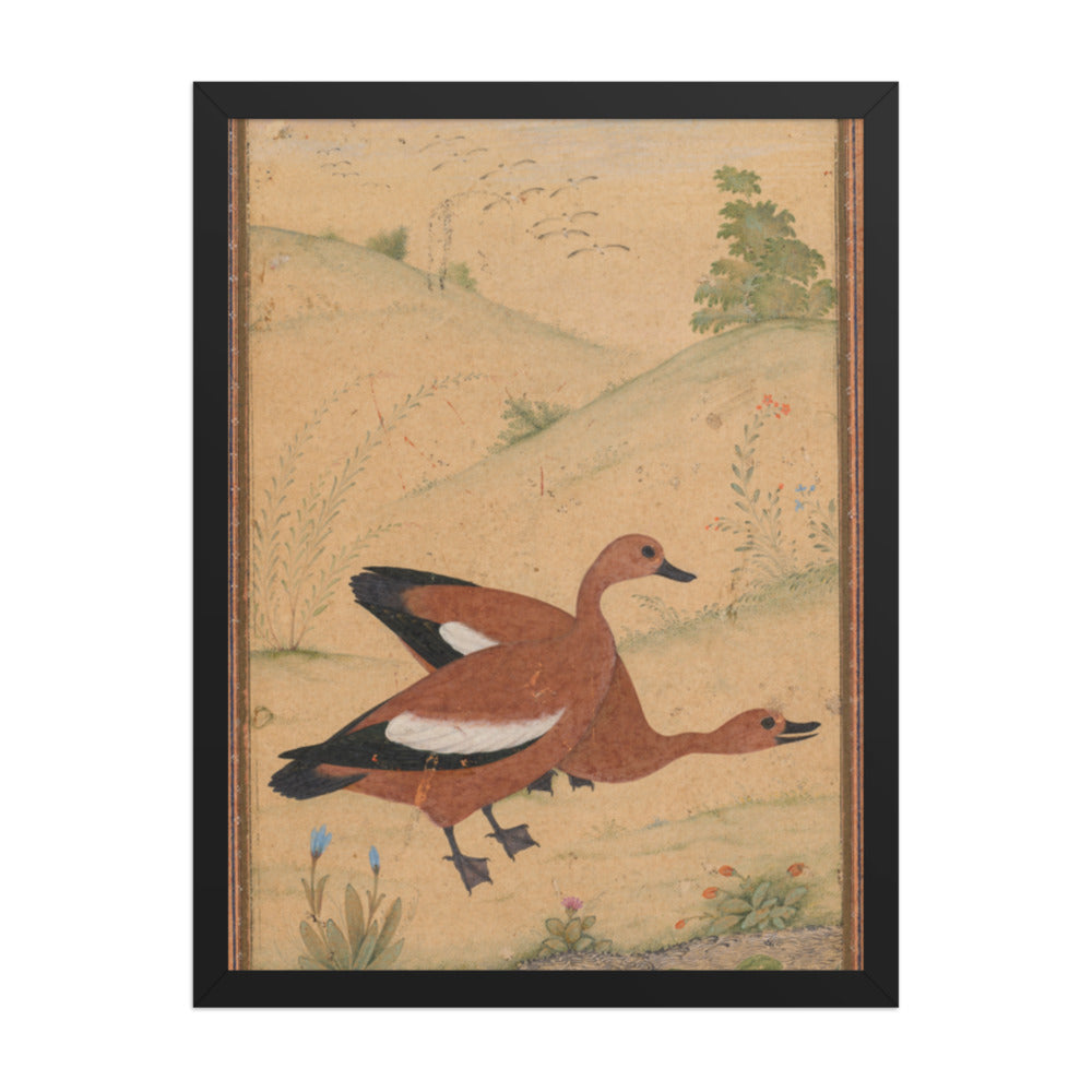 A pair of Brahminy ducks — Restored Mughal Wall Art — view 1