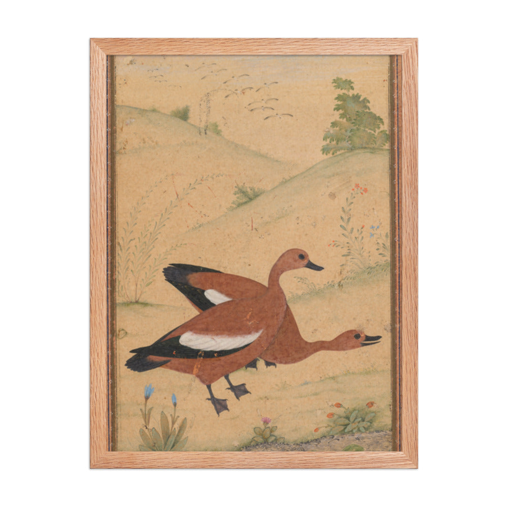 A pair of Brahminy ducks — Restored Mughal Wall Art — view 3