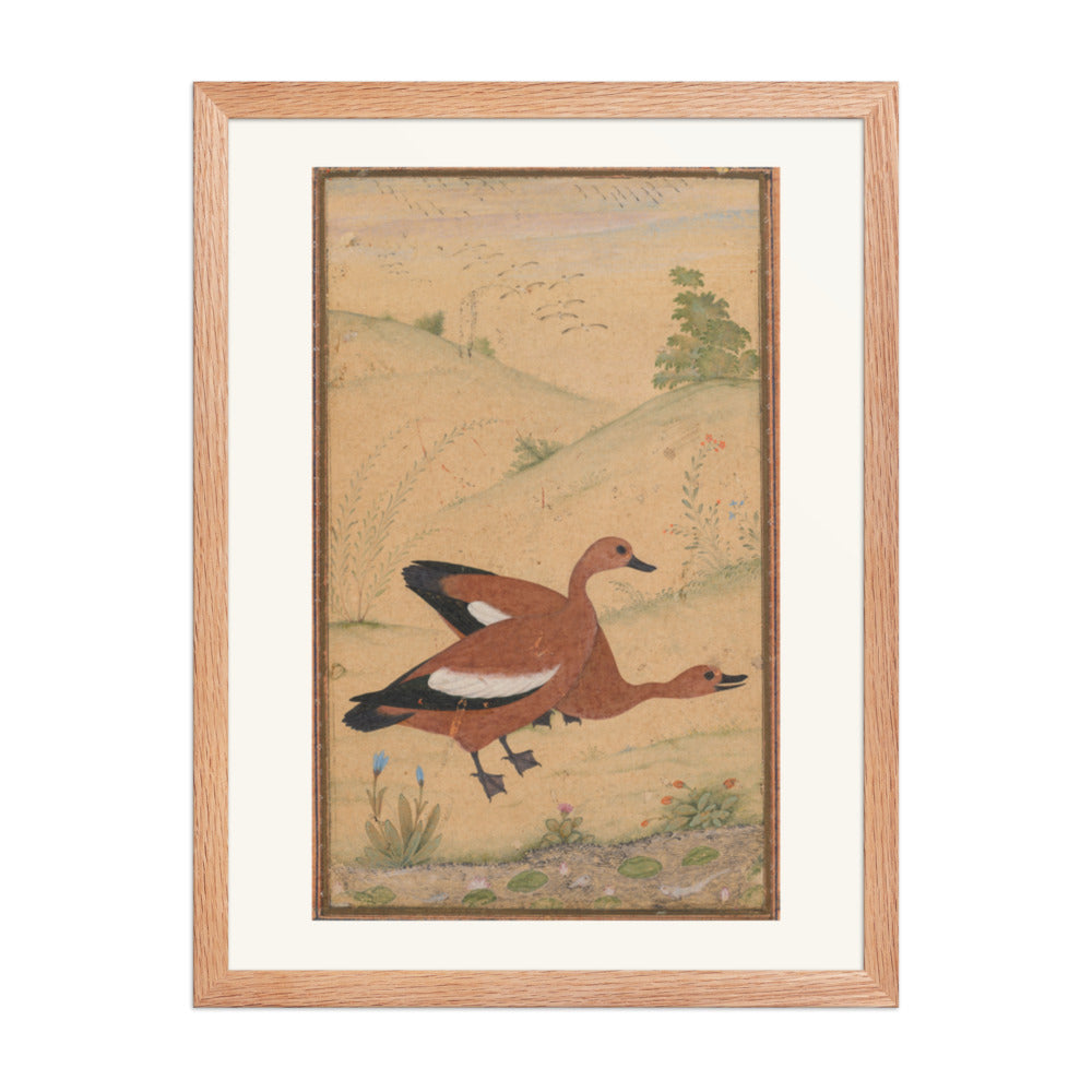 A pair of Brahminy ducks — Restored Mughal Wall Art — view 3